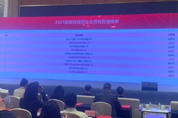 安徽民企营收十强榜单出炉 比亚迪等多家企业入围彰显产业结构多元化