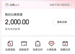 2025年最新京东白条使用不再难！最新 6种方法教你轻松搞定