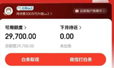 京东白条如何使用？2025年揭秘最新十五个操作步骤