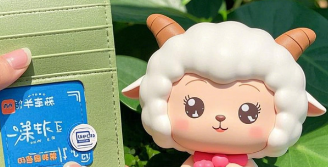 羊小咩便荔卡包怎么用？2025最新合规6个攻略和实操教程详解